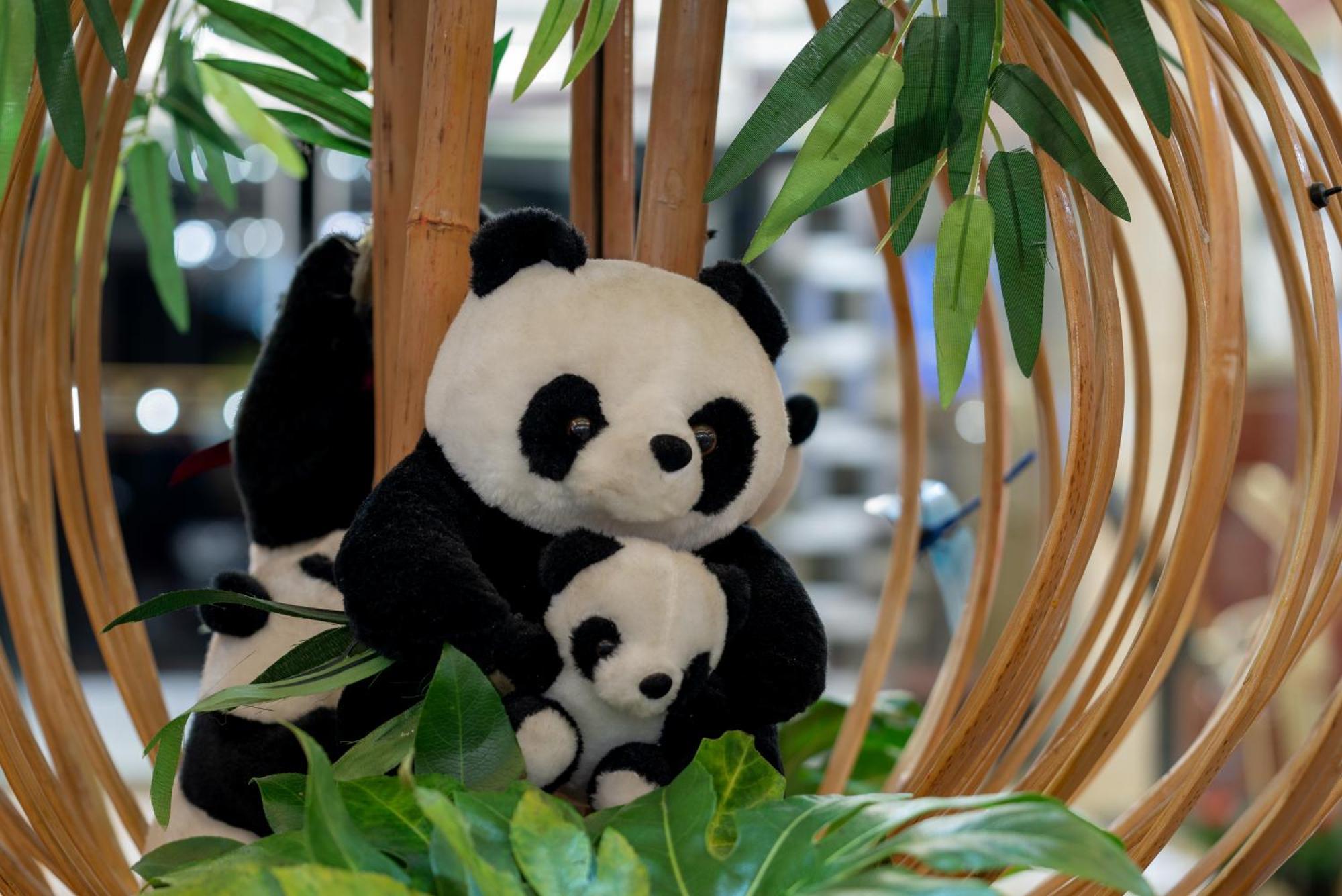 Chengdu Tianfu Sunshine Hotel מראה חיצוני תמונה